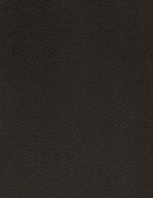 Черный ламинат 33 класса Ritter Ганнибал Королевская кобра (33560205)