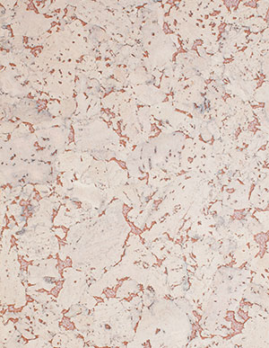 Розовая настенная пробка Viscork Artwall Magma (Wicanders)