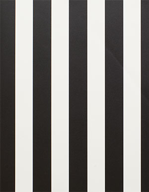 Виниловые обои с вертикальными черными и белыми полосами Aura Stripes & Damasks BW28702