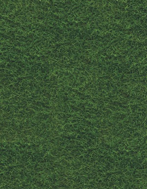 Пробковые полы с фотографией травы Corkstyle Fantasy Green