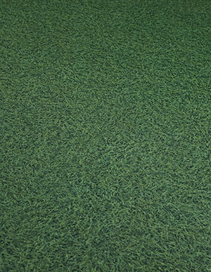 Кварц-виниловый пол под зеленую траву Finefloor Канада Грин FF-213